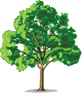 Tree logo
